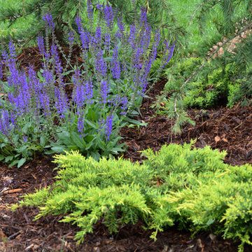Norman, OK Landscaping Renovation