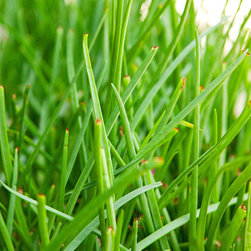 New Stock Photography - Products