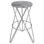 Meridian Furniture - Mercury Iron / Powder Coated Stool, Brushed Silver/Silver, Bar Height - Streamline your home bar or counter area with this Mercury bar stool. It's bar height design makes it an easy fit with your kitchen counter or your home bar, and it's made from metal for amazing durability and resilience. The stool's brushed silver iron and silver powder-coated finish add a beautifully coordinating finish to this contemporary piece.