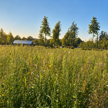 Athiana Acres: A Family Legacy (An organic Regenerative Farm)