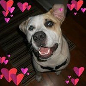 Robbie Garrett's photo