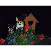 Stacey Domoslai's photo