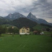 nina reddick's photo