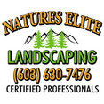 Natures Elite Landscaping's profile photo