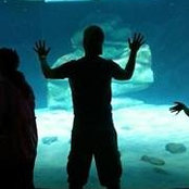 Reef Dweller's photo