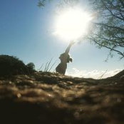 Gwen Martin's photo