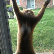 Ronnie Bruzda's photo