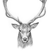 Sam Bote's photo