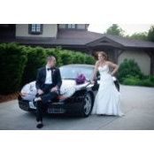 Joe Curro's photo