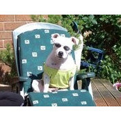 Sharon Hoole's photo