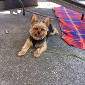 Kevin Woodward's photo