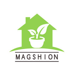 Magshion