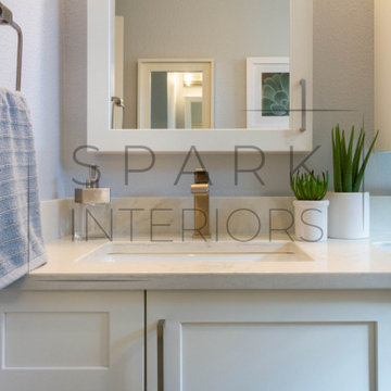 Brighton Bathroom Remodel