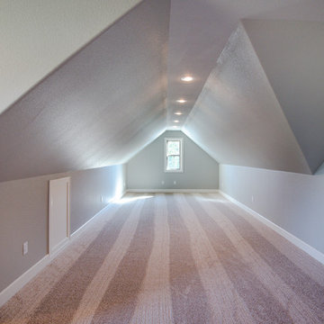 Bonus Room/Family Room