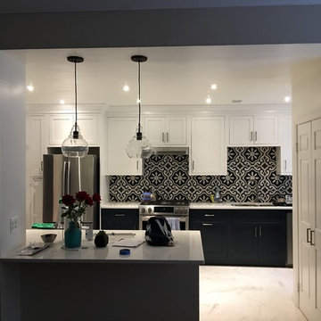 Kitchen Renovation Kalorama