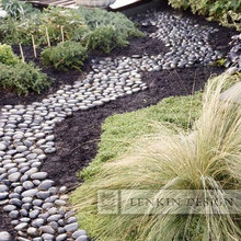 Garden Yard