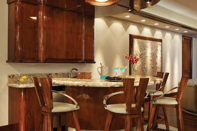 Example of a trendy dark wood floor wet bar design in Miami with flat-panel cabinets, dark wood cabinets and granite countertops