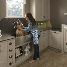 laundry room with dog washing station