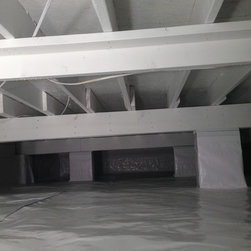 After Crawl Space Mold Remediation - Home Improvement