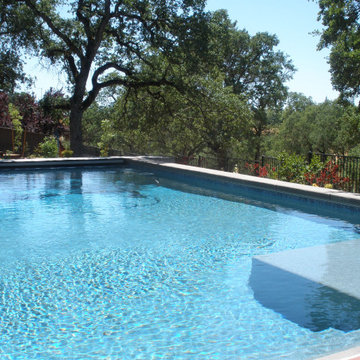 Roseville Contemporary Pool, Outdoor Kitchen, and Patio Cover