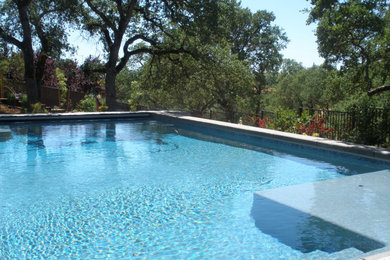 Foto de piscina actual rectangular en patio trasero con paisajismo de piscina y suelo de hormigón estampado