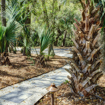 Conifer- Kiawah