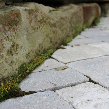 Patios & Walls