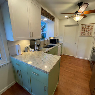 Kitchen Remodel 2024 Oakland/ white and light green