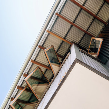 Canopy Studio