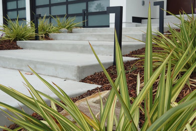Photo of a modern landscaping in San Francisco.