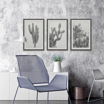 Cactus Variety Triptych