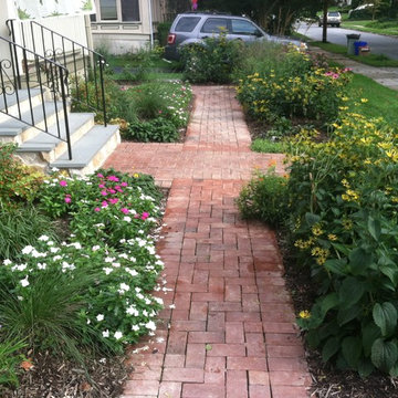 Drexel Hill native bird and butterfly garden