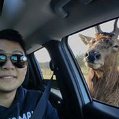 Bruce Su's photo