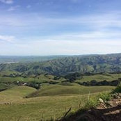 Tamie Qua's photo