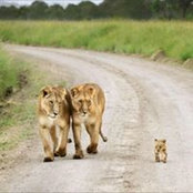 Lindsay Harman's photo