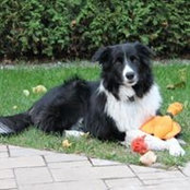 Sonia Perreault's photo
