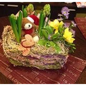 Floraria Insieme-Calarasi's photo