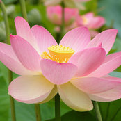Lara Schleiger's photo