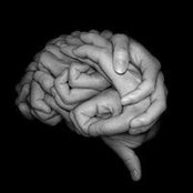 Gaurav Gupta's photo