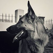 Rahul Singh's photo