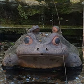 大嶋順さんの写真
