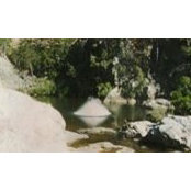Adrian Lynch's photo