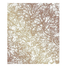 Wall Papers and Paint Ideas