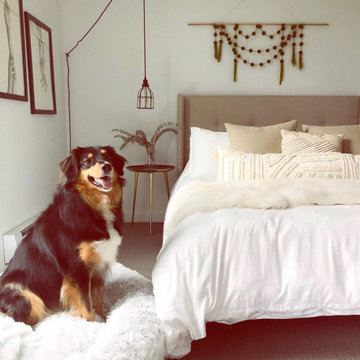 Big Dog Bedroom Bed
