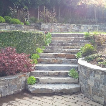 Mill Valley