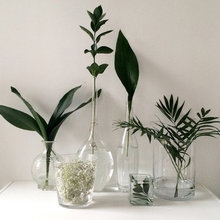 Decorating with plants and flowers