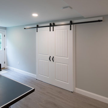 2019 Traditional Basement Entertainment Remodel