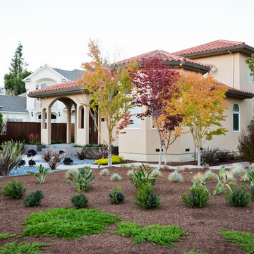 Palo Alto Modern