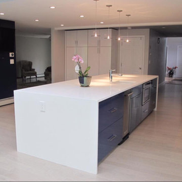Modern Sleek Kitchen