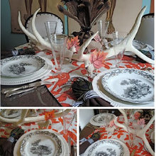 Antlers and feathers